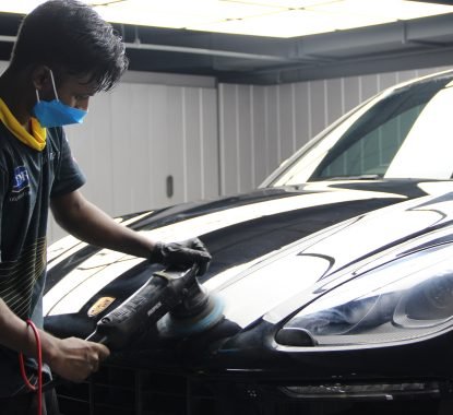 Coating Wax + OTIO Sterilizing Treatment